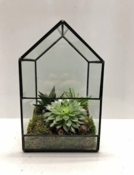 'Als ik maar geen kasplantje word.'   Die zin bleef hangen.   Het afgelopen jaar ging mijn broer steeds verder achteruit. Niet alleen psychisch,...