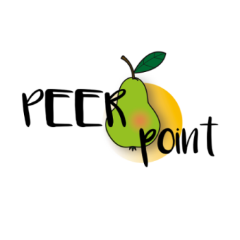 Peerpoint Herstelacademie