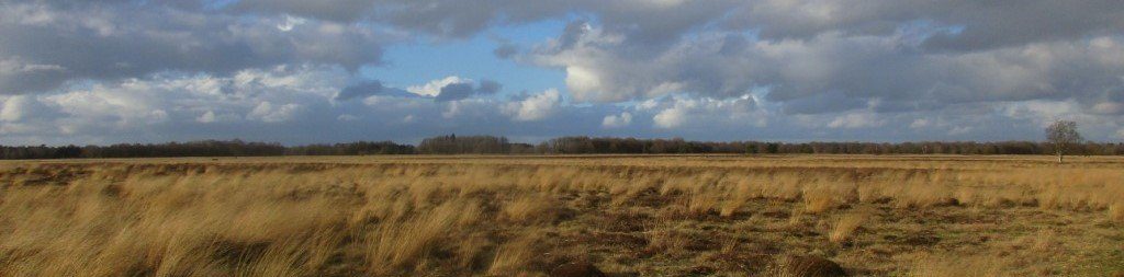 Drenthe