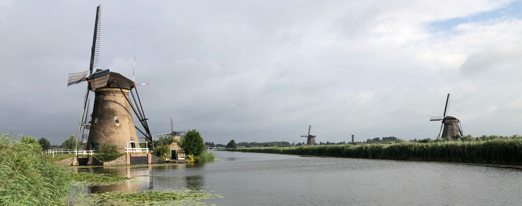 Regio Team Zuid Holland