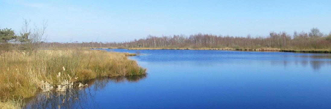 Grote Peel Limburg